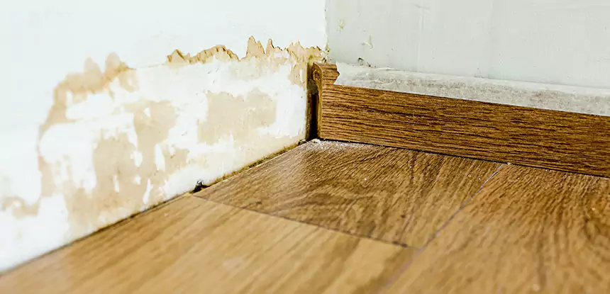 Professional Fix Water Damaged Wood Services in Lithonia, GA